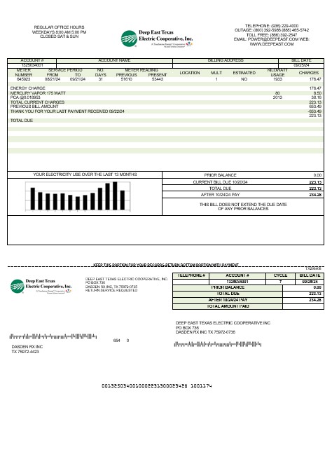 USA Deep East Texas Electric business utility bill template in Word and PDF formats